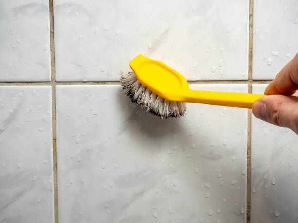 Reliable Livingston, AL Mold Remediation Solutions
