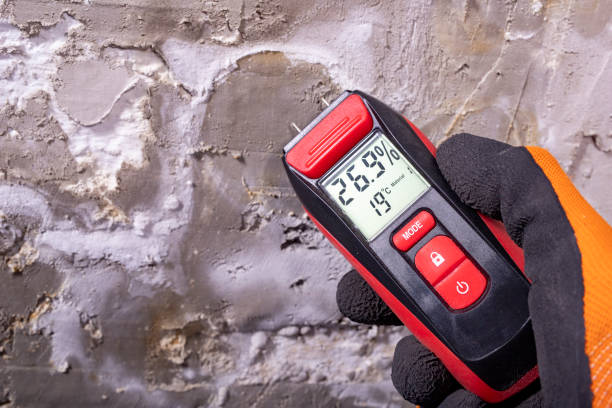 Best Health and Safety Mold Remediation in Livingston, AL