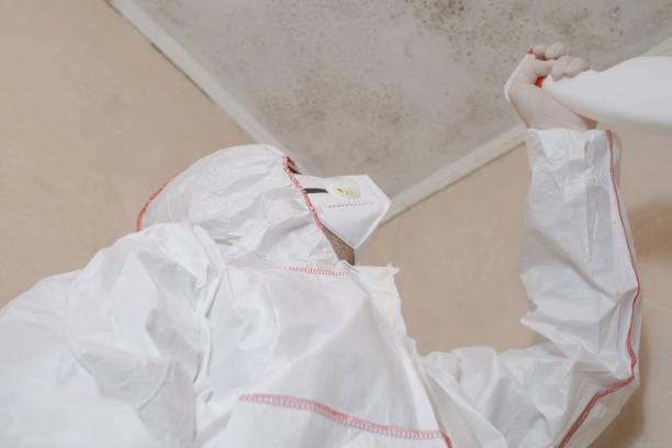 Best Commercial Mold Remediation in Livingston, AL